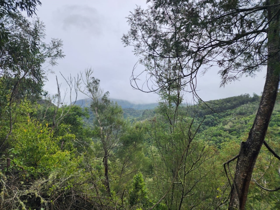 Commercial Property for Sale in Hoekwil Western Cape